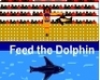 play Feed The Dolphin