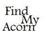 play Find The Acorn!