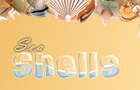 Sea Shells