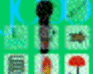 play Jodo: The First