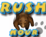 play Rush Hour