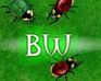 play Beetlewars
