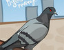 play Pigeon'Revenge