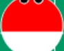 play Flash Grenal