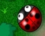 play Hungry Bugs