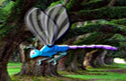 play Hidden Dragonfly