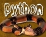 play Python