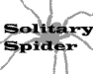 play Solitary Spider