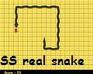Snake Snack (Real Snake)