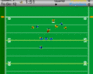 play Flag Football