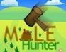 play Mole Hunter