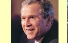 play Bush Bash 4 Dictionary