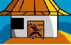 play Ninja Adventure 1.5