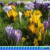 play Hidden Object Snails
