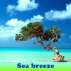 play Sea Breeze 5 Differences