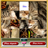 play Cat Sliding Puzzle