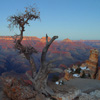 play Jigsaw: Grand Canyon