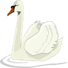 play Swan Swimming Jigsaw