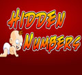 play Hidden Numbers