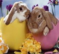 play Hidden Numbers-Easter