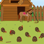 play Wild Turkey Escape