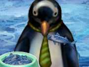 Pet Penguin