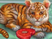 play My Baby Tiger