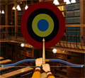 play Hidden Targets-Library