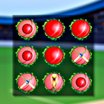 play Bomb Memory-Cricket