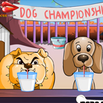 Dog Championship