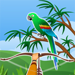 play Hidden Parrots