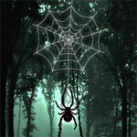 play Hidden Spider
