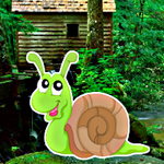 play Hidden Snail