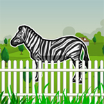 play Hidden Zebra