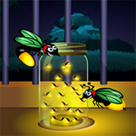 play Hidden Fireflies