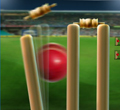 play Super Cricket