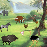 play Hidden Objects-Zoo