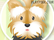 play Pet Grooming Studio