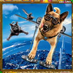 play Jigsaw Puzzle-Cats And Dogs