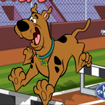 play Scooby Doo Hurdle Race