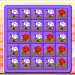 play White And Red Rose