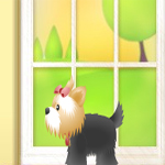 play Pet Pickup