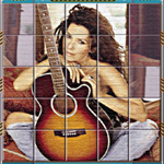 play Swappers-Shania Twain