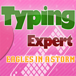 play Typing Expert Eagles In A Storm