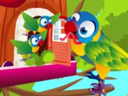 play Bird House