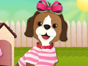 play Bow