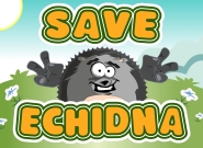 play Save Echidna