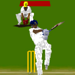 play Virtual Cricket