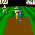 play Virtual Cricket 2