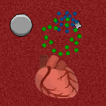 play Small White Lymphocyte